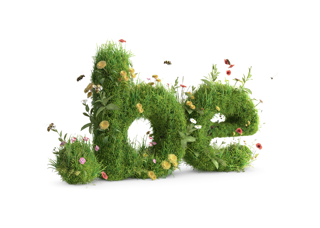 Een .be begroeid met gras en bloemen